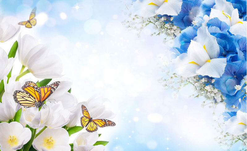 Bright And Fresh Flowers Wallpaper AJ Wallpaper
