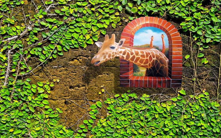 Cute Giraffes Wallpaper AJ Wallpaper