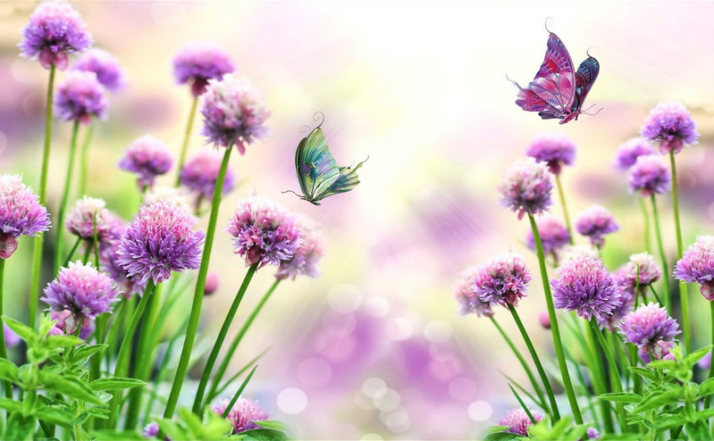 Purple Flowers And Butterflies Wallpaper AJ Wallpaper
