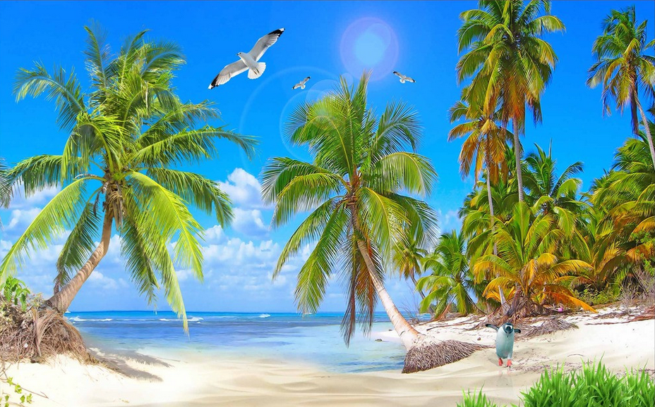 Beach Green Coconut Trees Wallpaper AJ Wallpaper 2