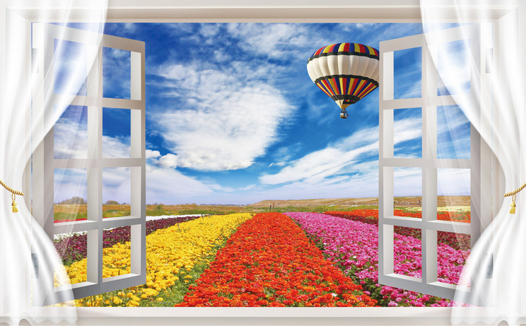 Window Colorful Flowers Wallpaper AJ Wallpaper