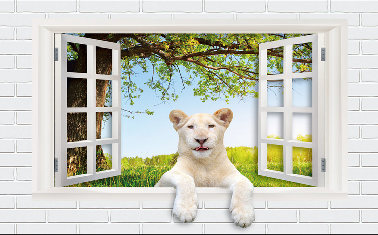 Window Bear Wallpaper AJ Wallpaper