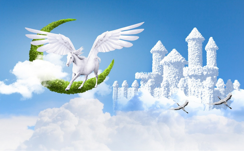Flying Animals Wallpaper AJ Wallpaper