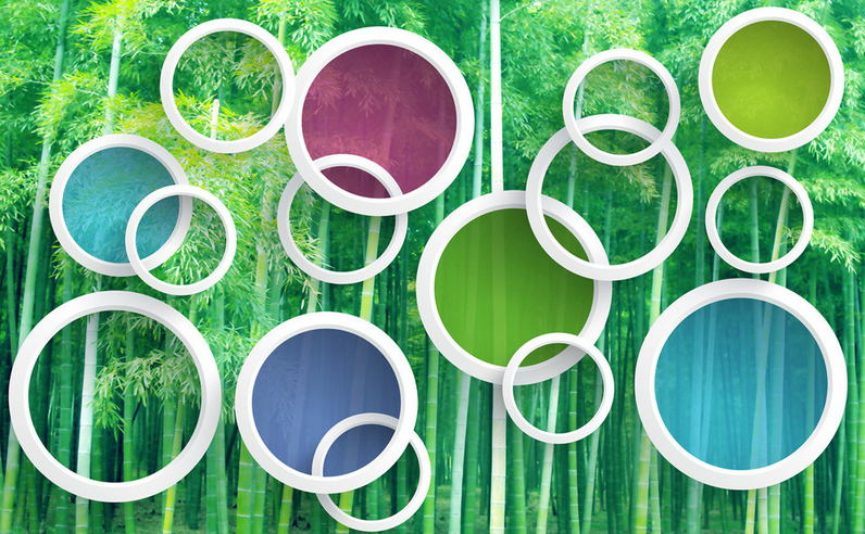 Bamboo Forest And Circles Wallpaper AJ Wallpaper
