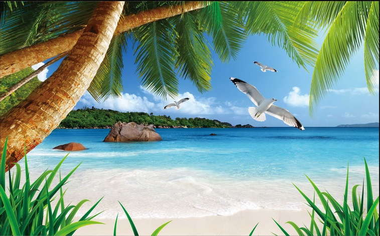 Seagulls Wallpaper AJ Wallpaper