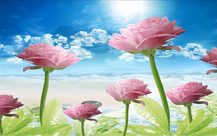 Fresh Pink Blossoms Wallpaper AJ Wallpaper