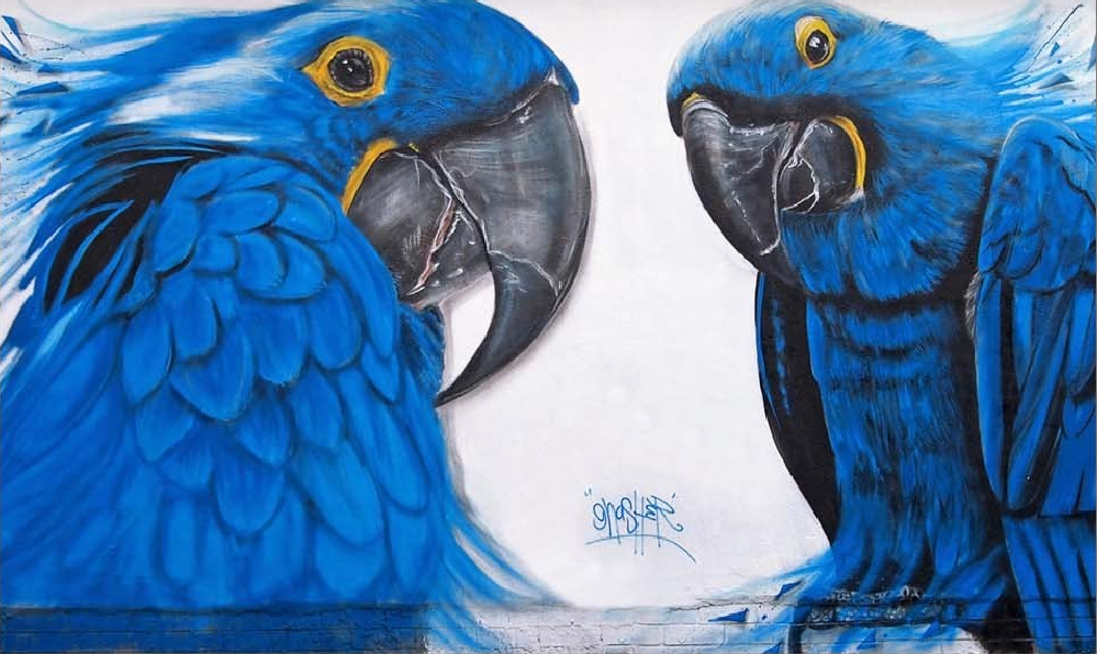 Egles Wallpaper AJ Wallpaper