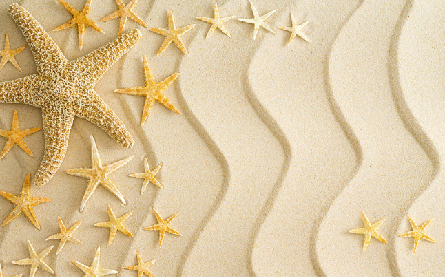 3D Beach Starfishes Wallpaper AJ Wallpaper