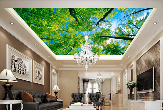 Trees Sky Sunlight 318 Wallpaper AJ Wallpaper