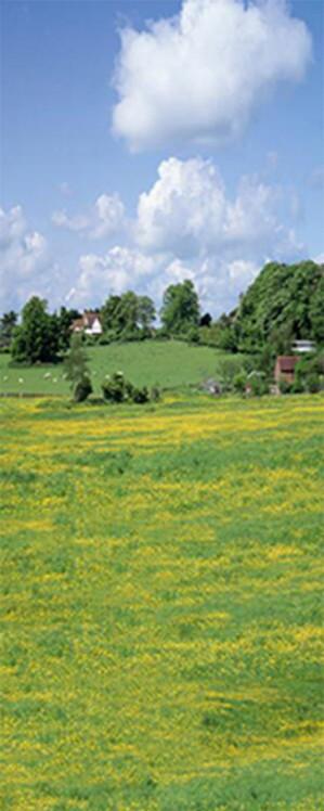 3D plain blue sky white clouds door mural Wallpaper AJ Wallpaper