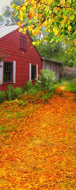 3D fallen leaves house door mural Wallpaper AJ Wallpaper