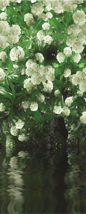 3D lake water flower green grass painting door mural Wallpaper AJ Wallpaper