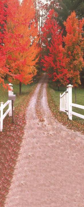 3D maple leaves road fence door mural Wallpaper AJ Wallpaper