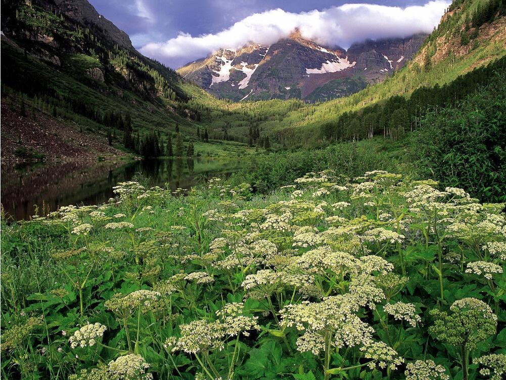 3D Mountains Lake Flowers 101 Garage Door Mural Wallpaper AJ Wallpaper