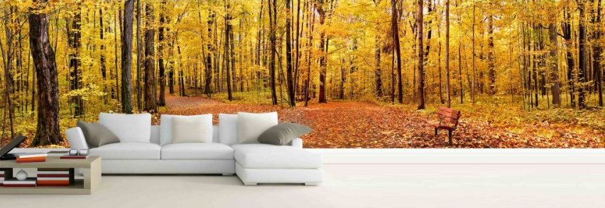 3D Maple Forest 541 Wallpaper AJ Wallpaper