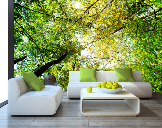 3D Forest Sunshine 390 Wallpaper AJ Wallpaper