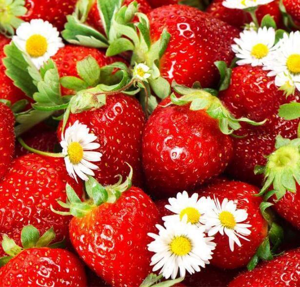 3D Strawberry Flowers 876 Curtains Drapes Wallpaper AJ Wallpaper