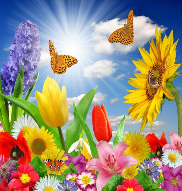 3D Bright Flowers And Sky 1135 Curtains Drapes Wallpaper AJ Wallpaper