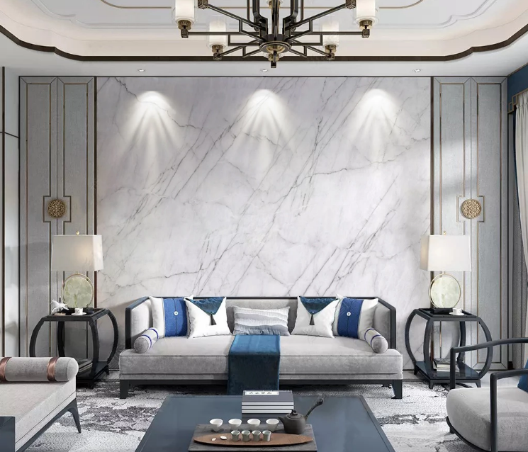 3D Ink Line WC2242 Wall Murals