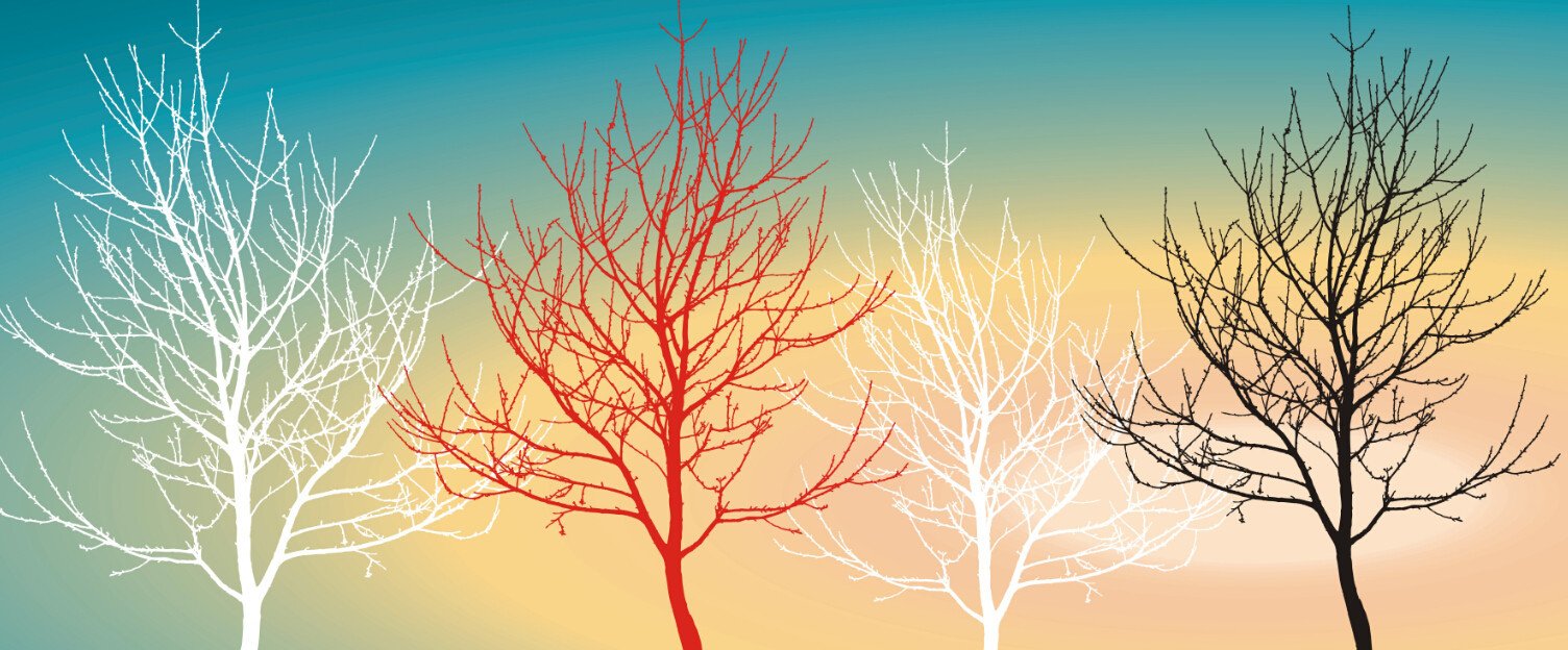 Colored Trees Wallpaper AJ Wallpaper