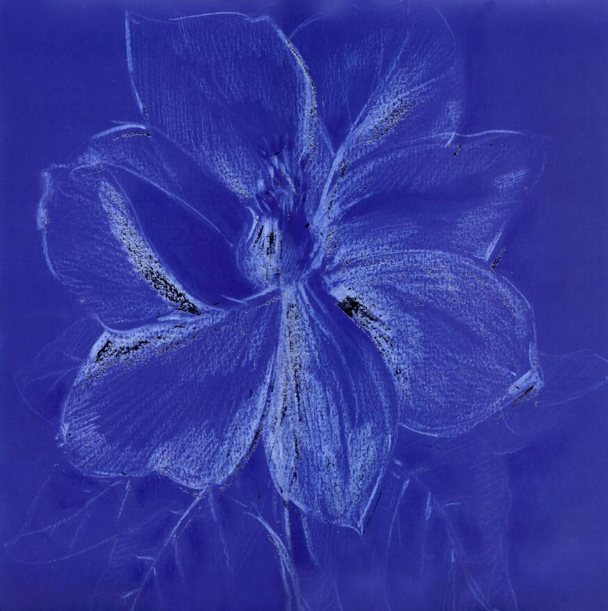 Bright Blue Painting Wallpaper AJ Wallpaper 2