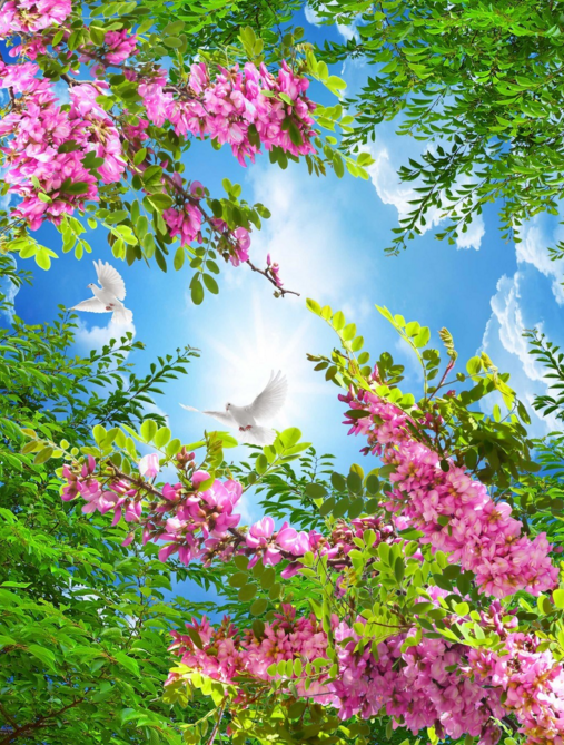 Pink Blossoms Branches Wallpaper AJ Wallpaper 2