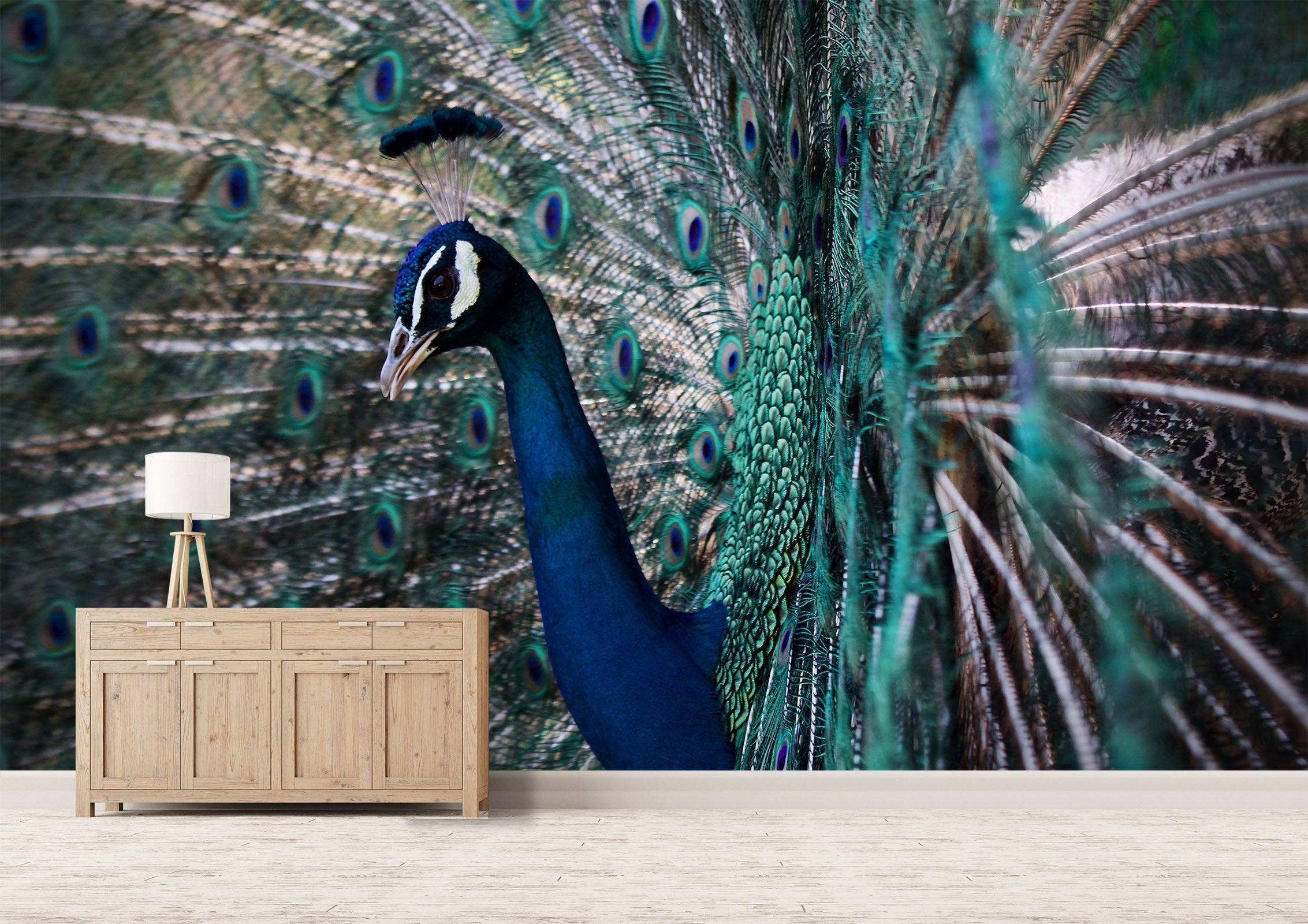 3D Peacock Side Face 219 Wallpaper AJ Wallpaper