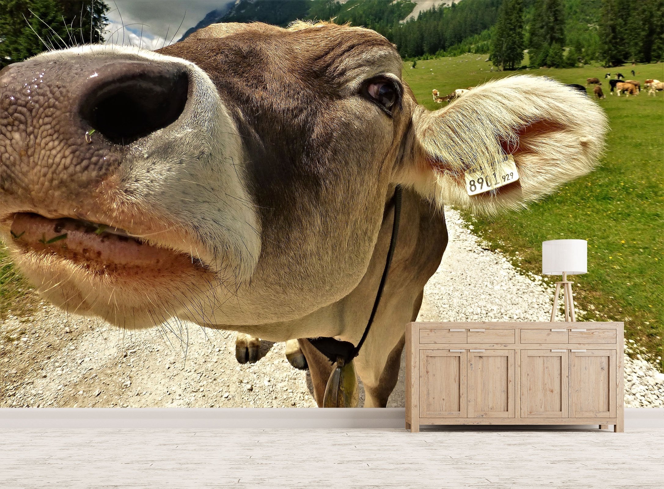 3D Cow Mouth 131 Wallpaper AJ Wallpaper