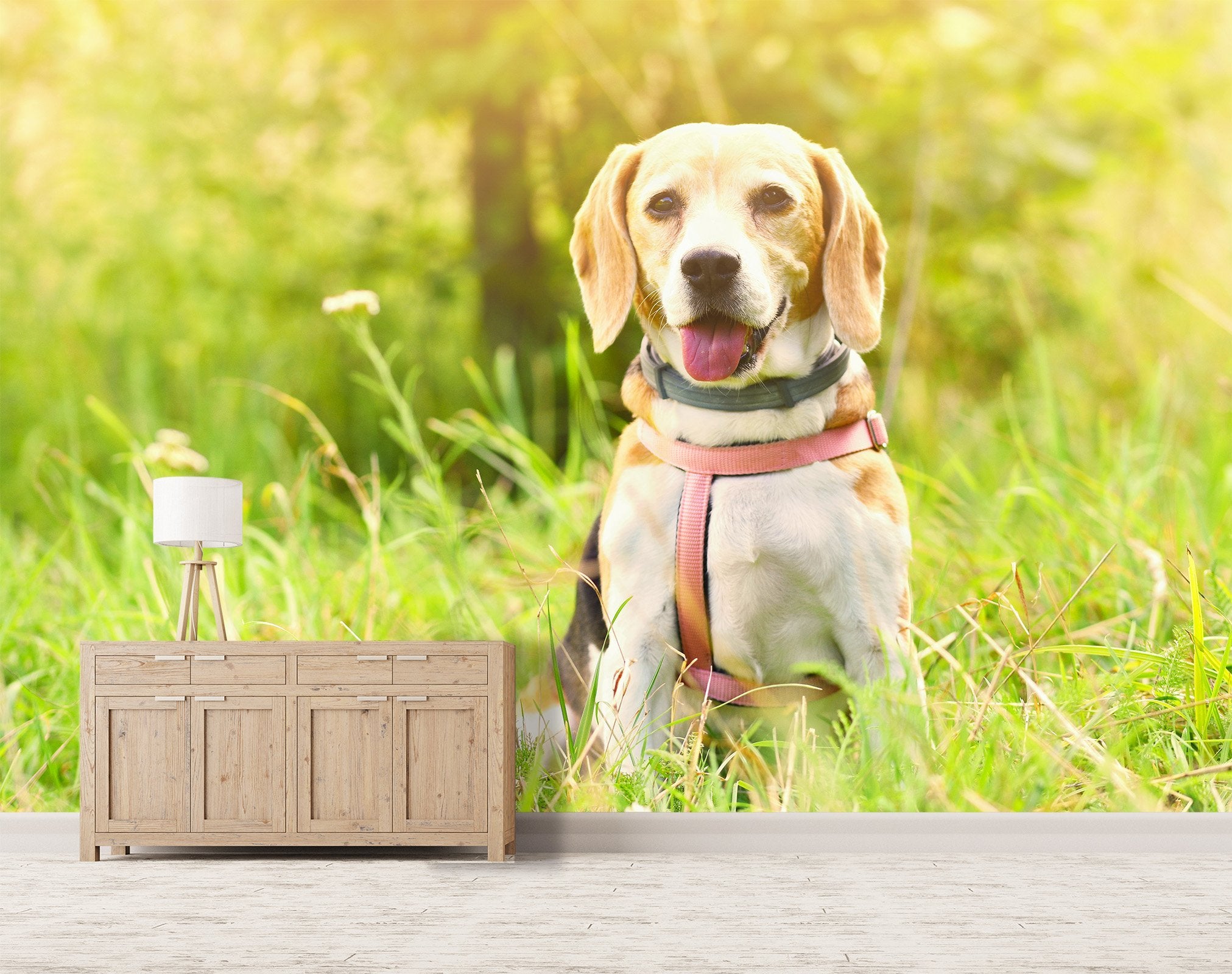 3D Sunshine Dog 660 Wallpaper AJ Wallpaper