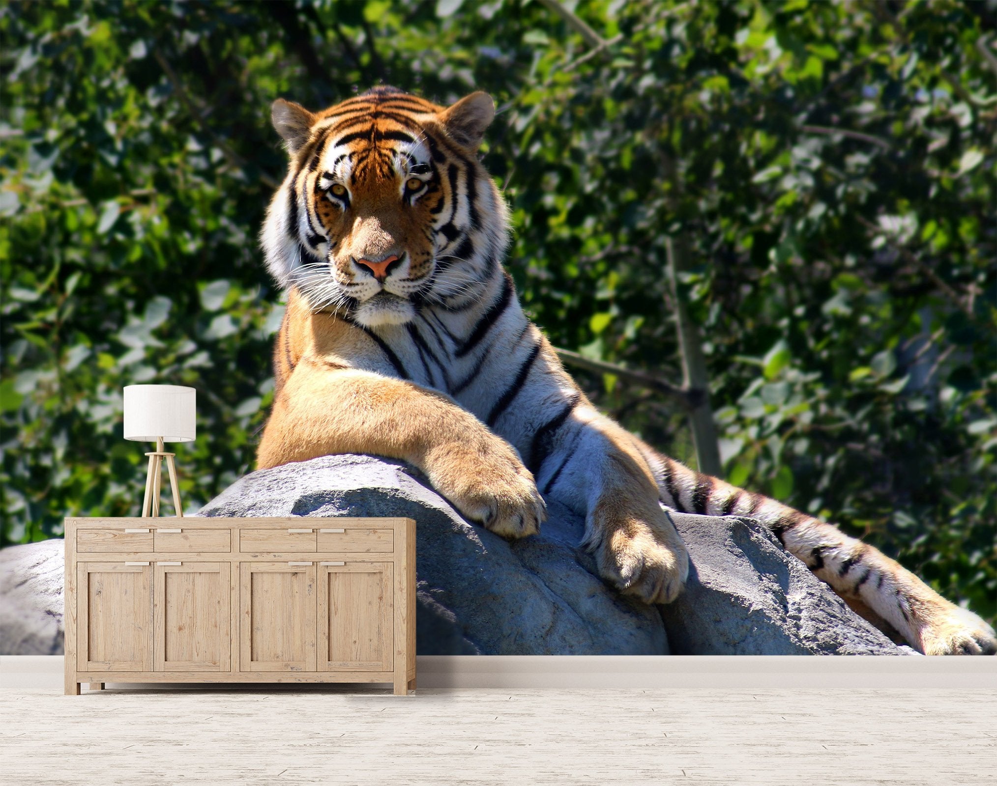 3D Tiger King 242 Wallpaper AJ Wallpaper