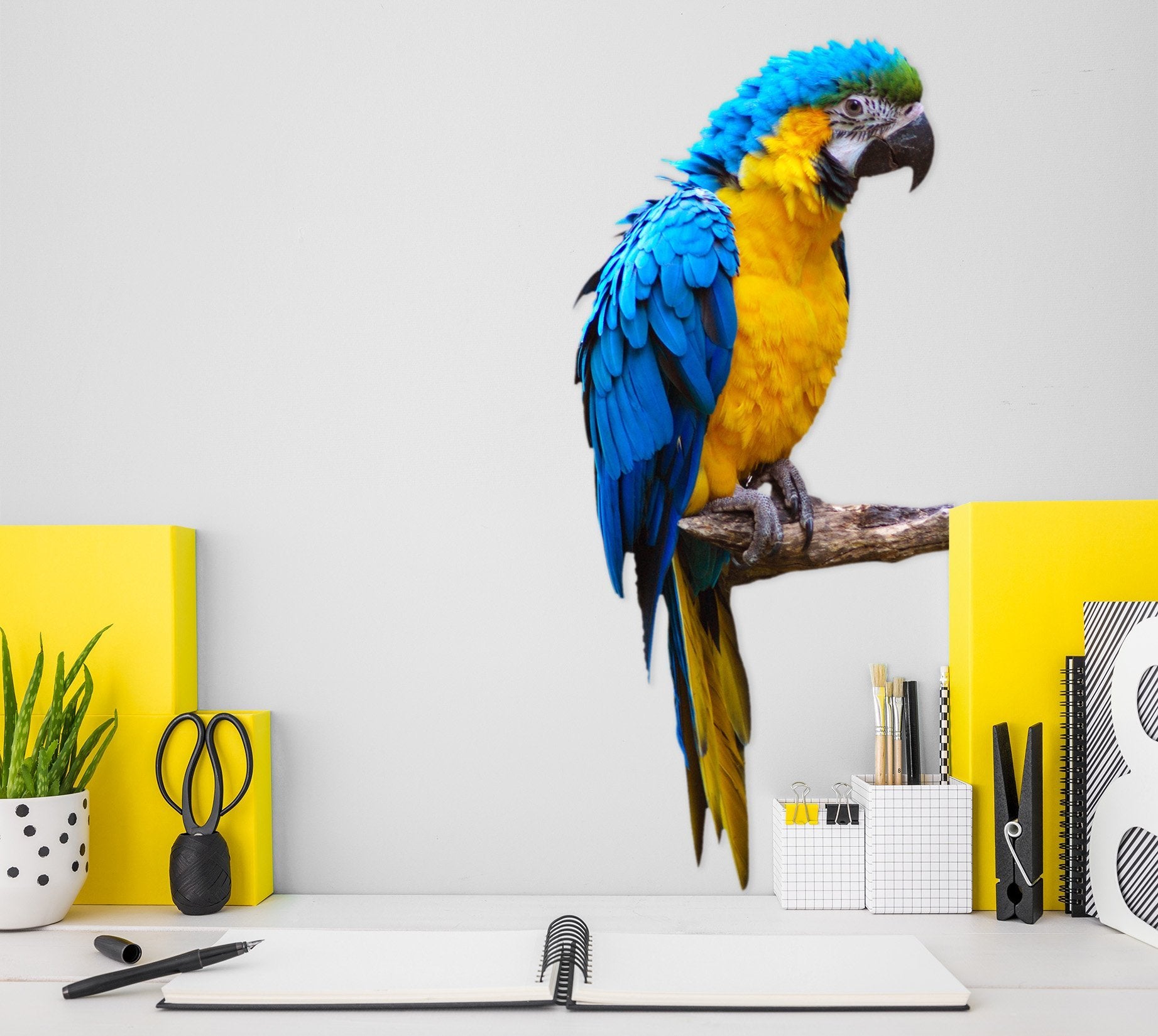 3D Blue Yellow Parrot 166 Animals Wall Stickers Wallpaper AJ Wallpaper
