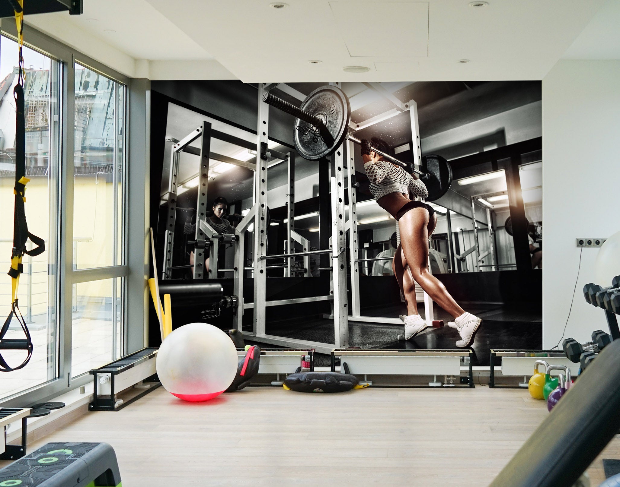 3D Barbell Exercise 221 Wall Murals