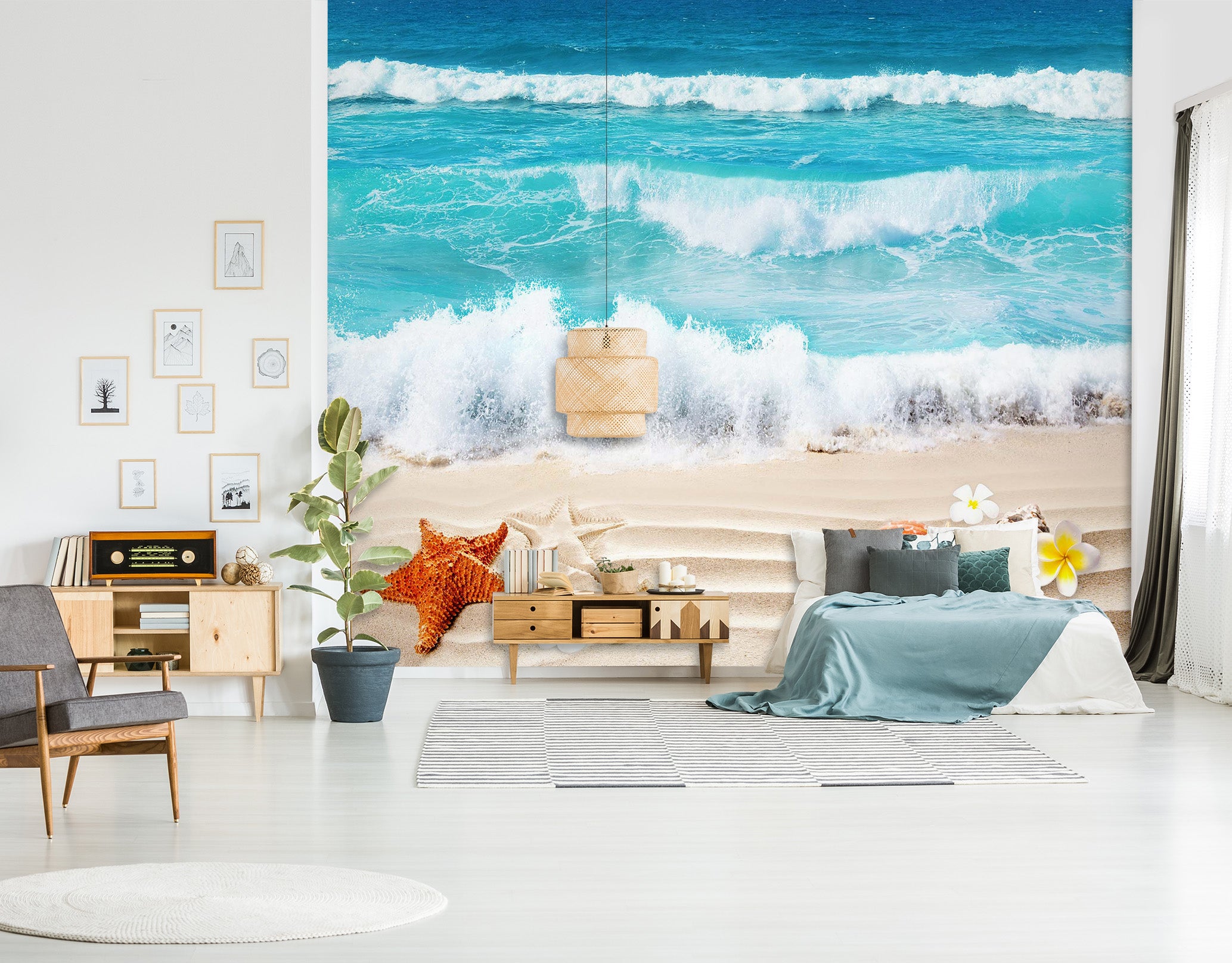 3D Seashell 1694 Wall Murals