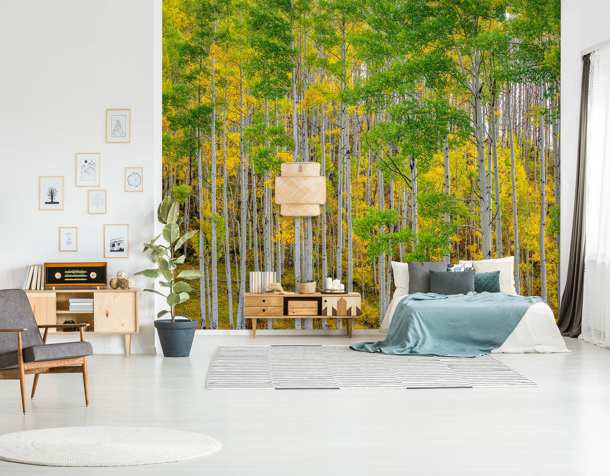 3D Autumn Forest 1436 Marco Carmassi Wall Mural Wall Murals