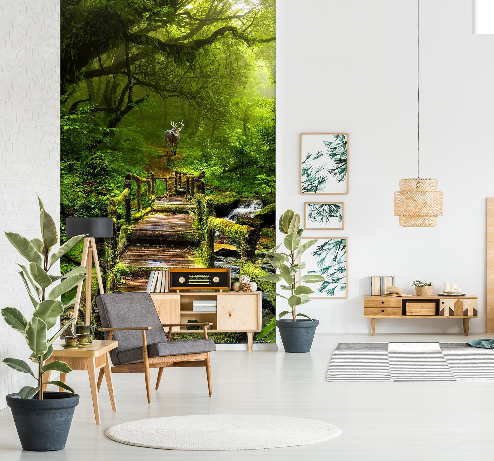 3D Forest Path 1538 Wall Murals