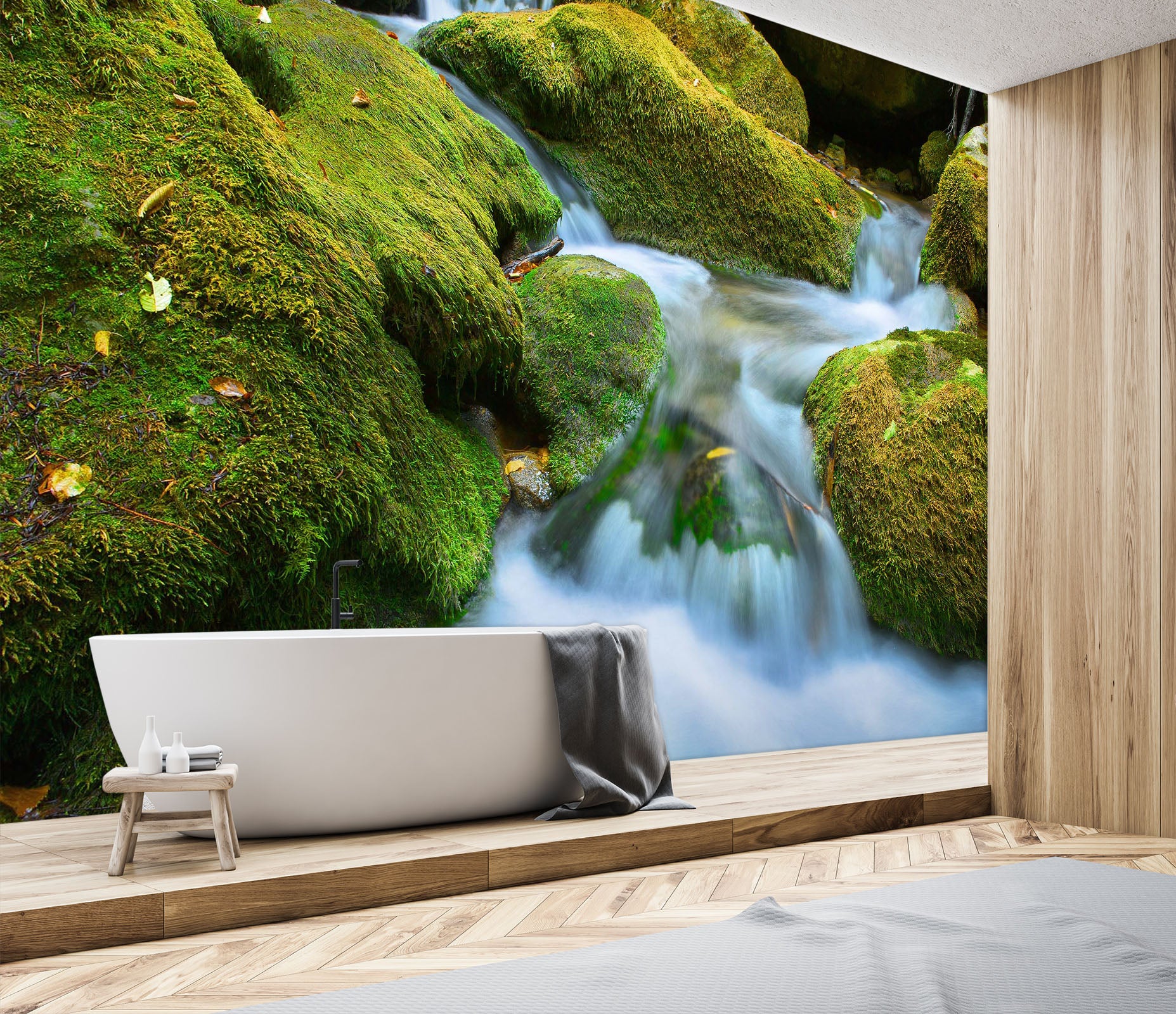 3D Mountain Stream 1631 Wall Murals