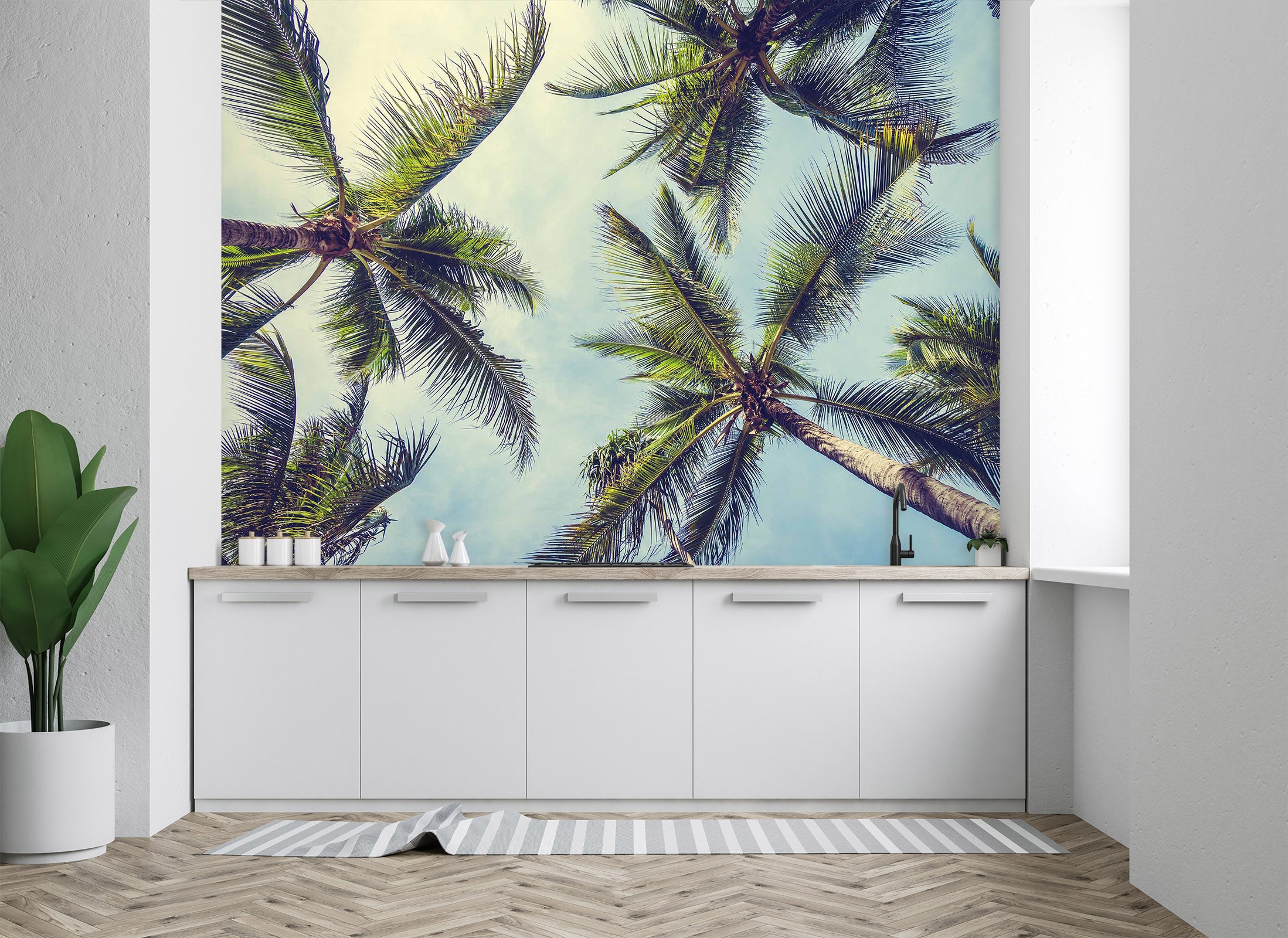 3D Coconut Tree 88 Wall Murals
