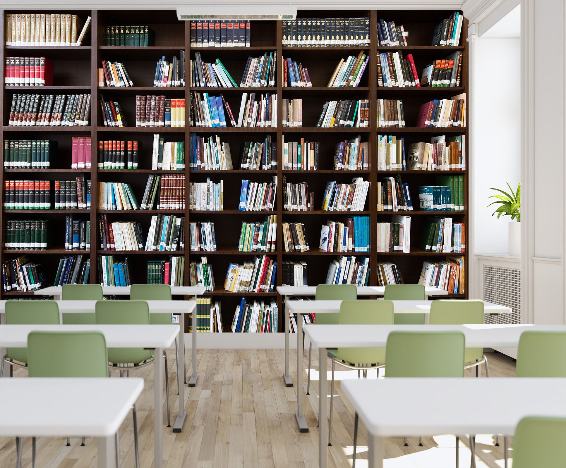 3D Wooden Bookshelf 145 Wall Murals