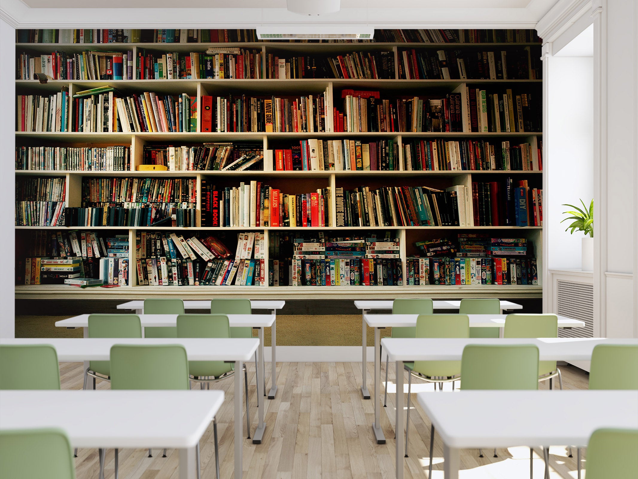 3D Bookshelf 010 Wall Murals