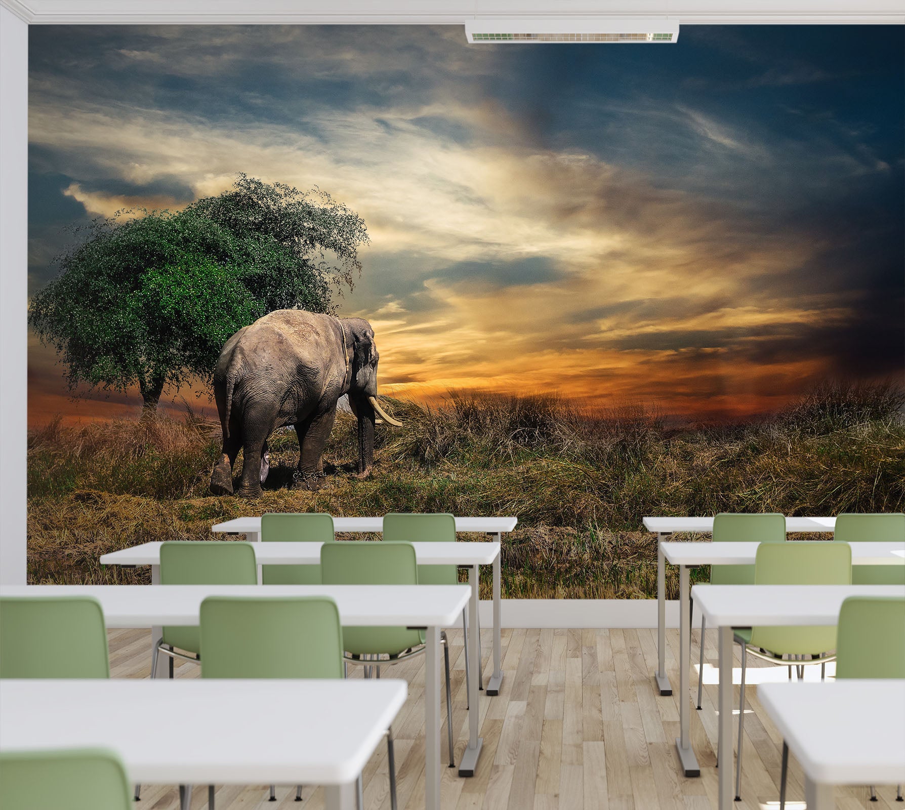 3D Tree Elephant 150 Wall Murals