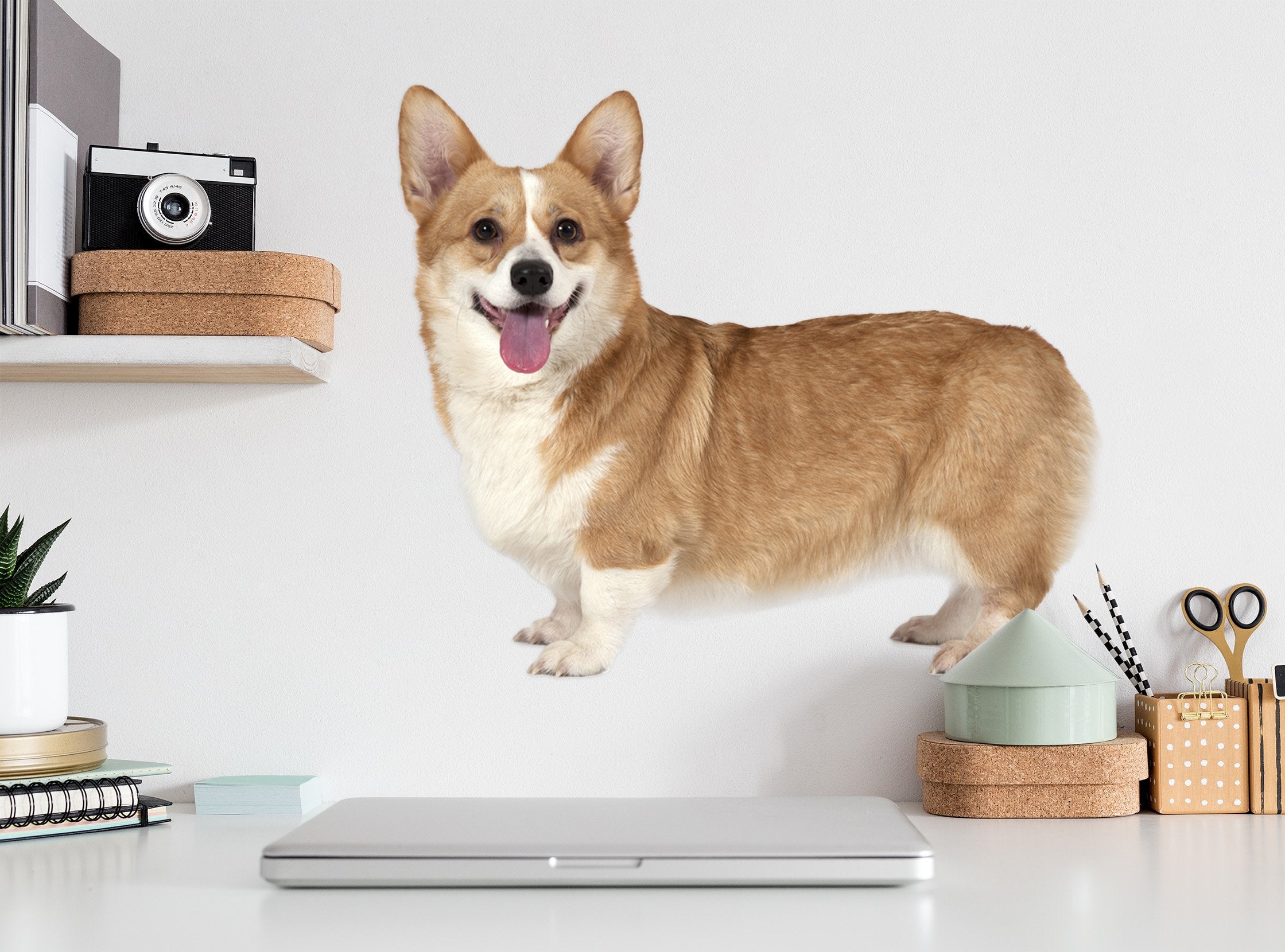 3D Smiley Dog 017 Animals Wall Stickers Wallpaper AJ Wallpaper
