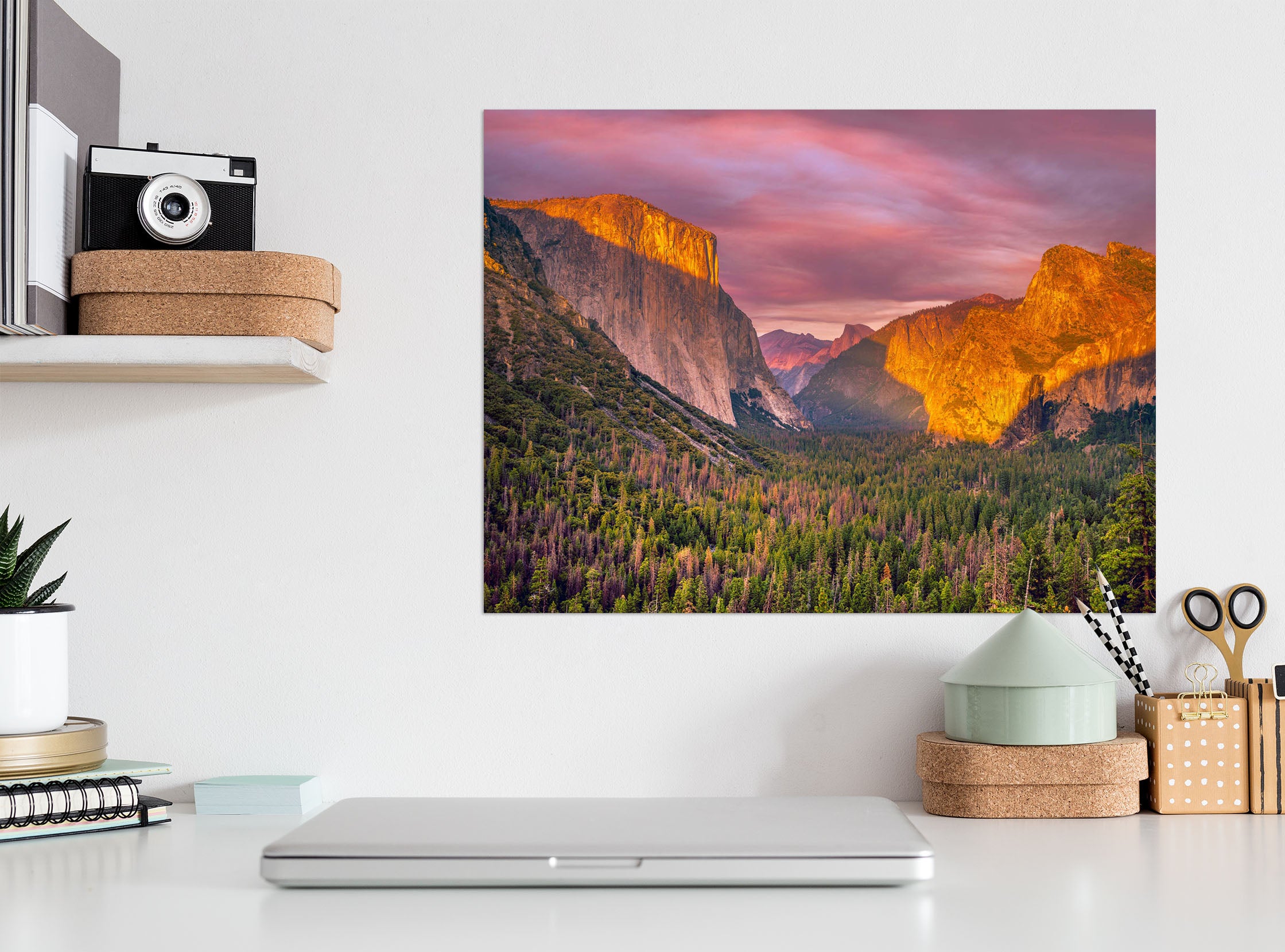 3D Green Forest 226 Marco Carmassi Wall Sticker