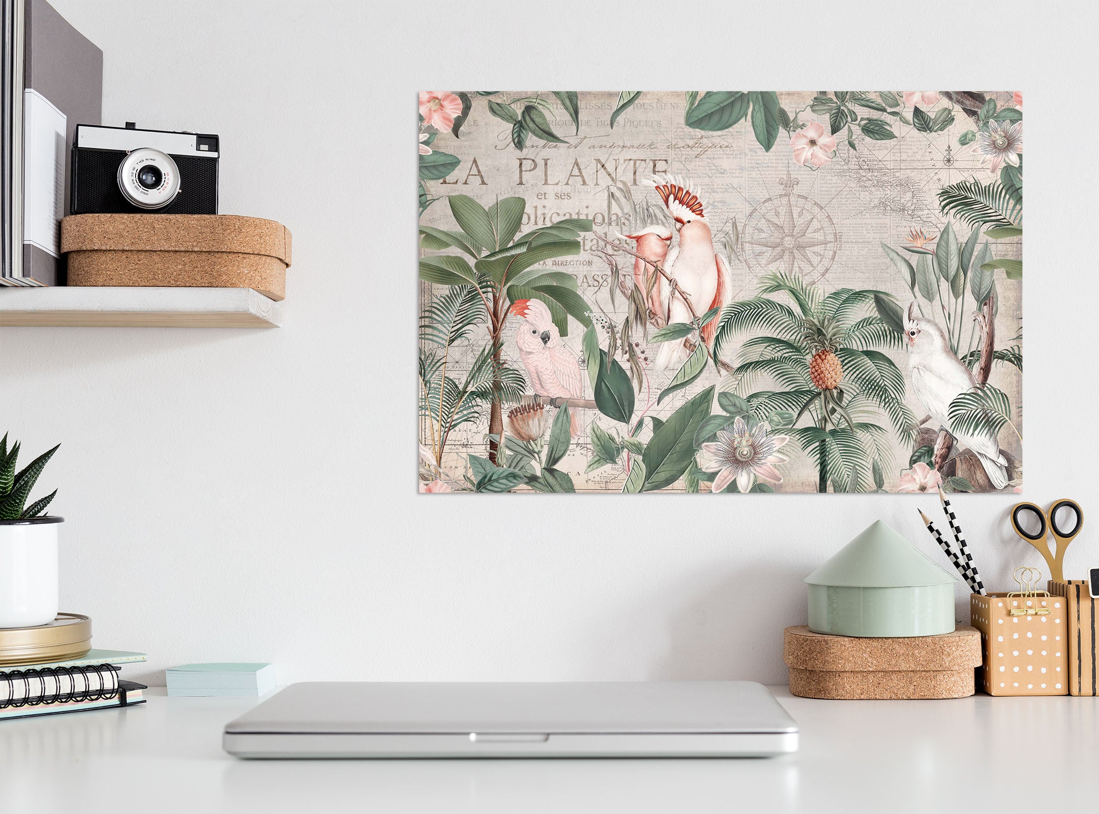 3D Parrot Friend 042 Andrea haase Wall Sticker