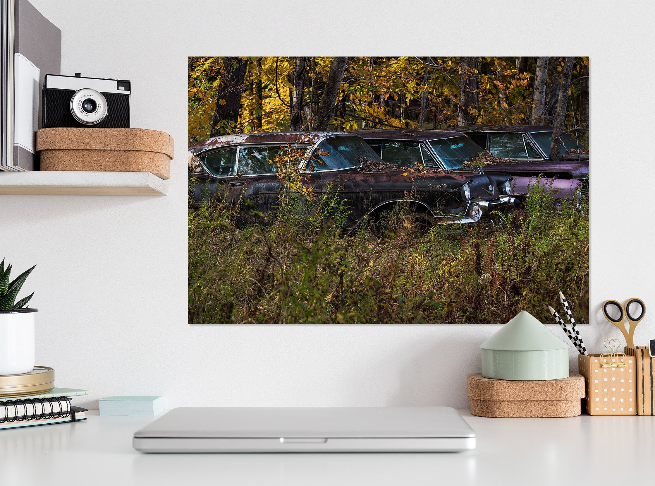 3D Jungle Car 103 Jerry LoFaro Wall Sticker