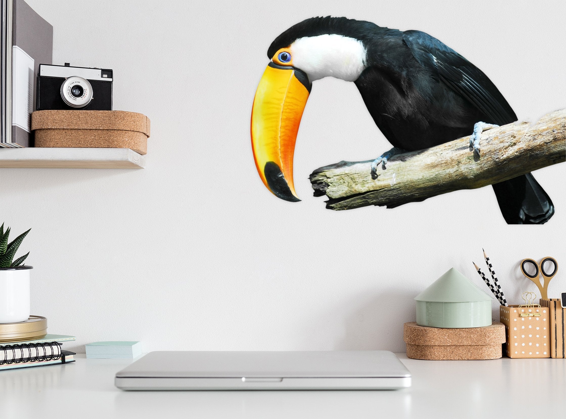3D Bird Mouth 045 Animals Wall Stickers Wallpaper AJ Wallpaper