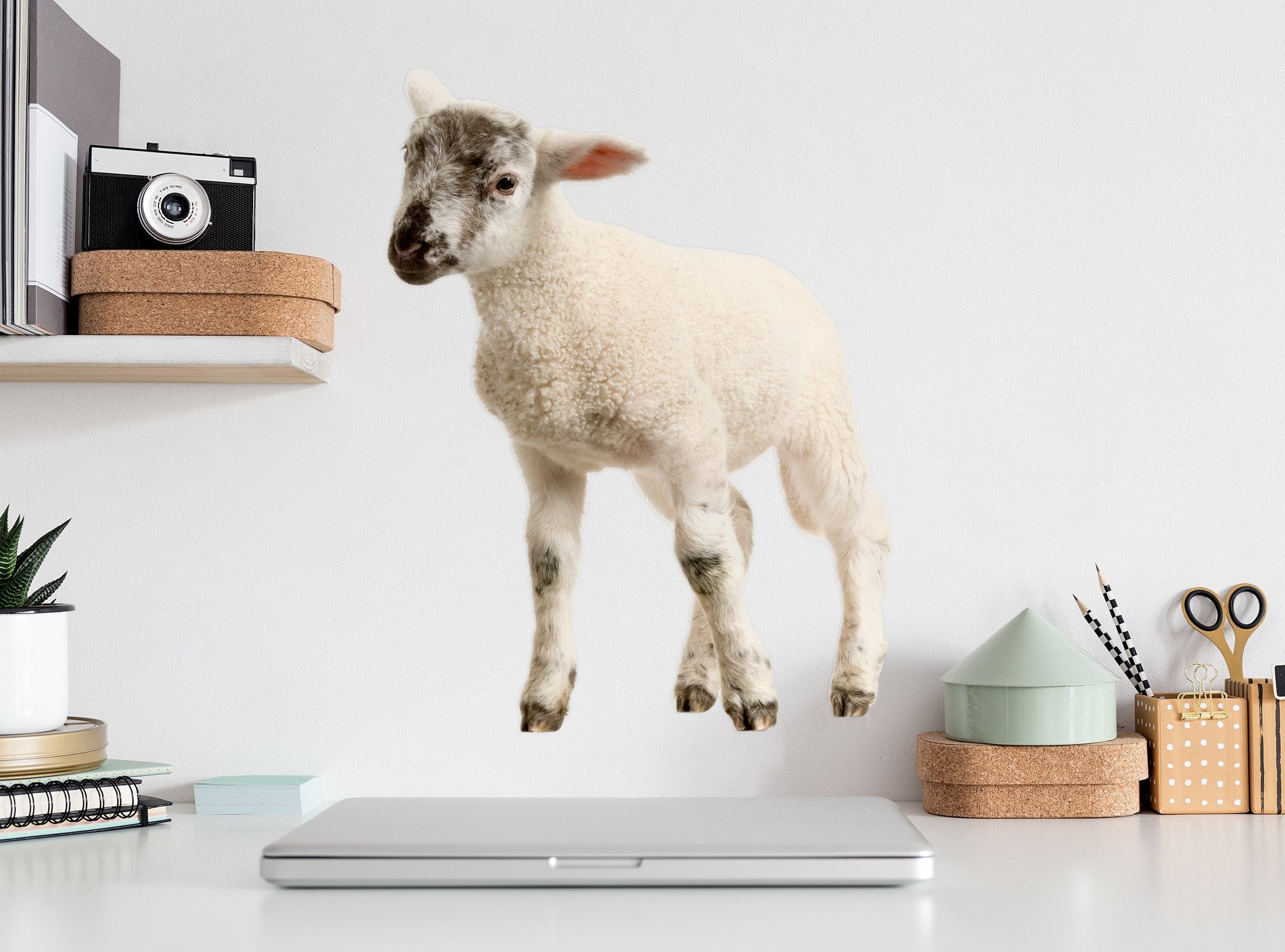 3D Black and white head sheep 009 Animals Wall Stickers Wallpaper AJ Wallpaper