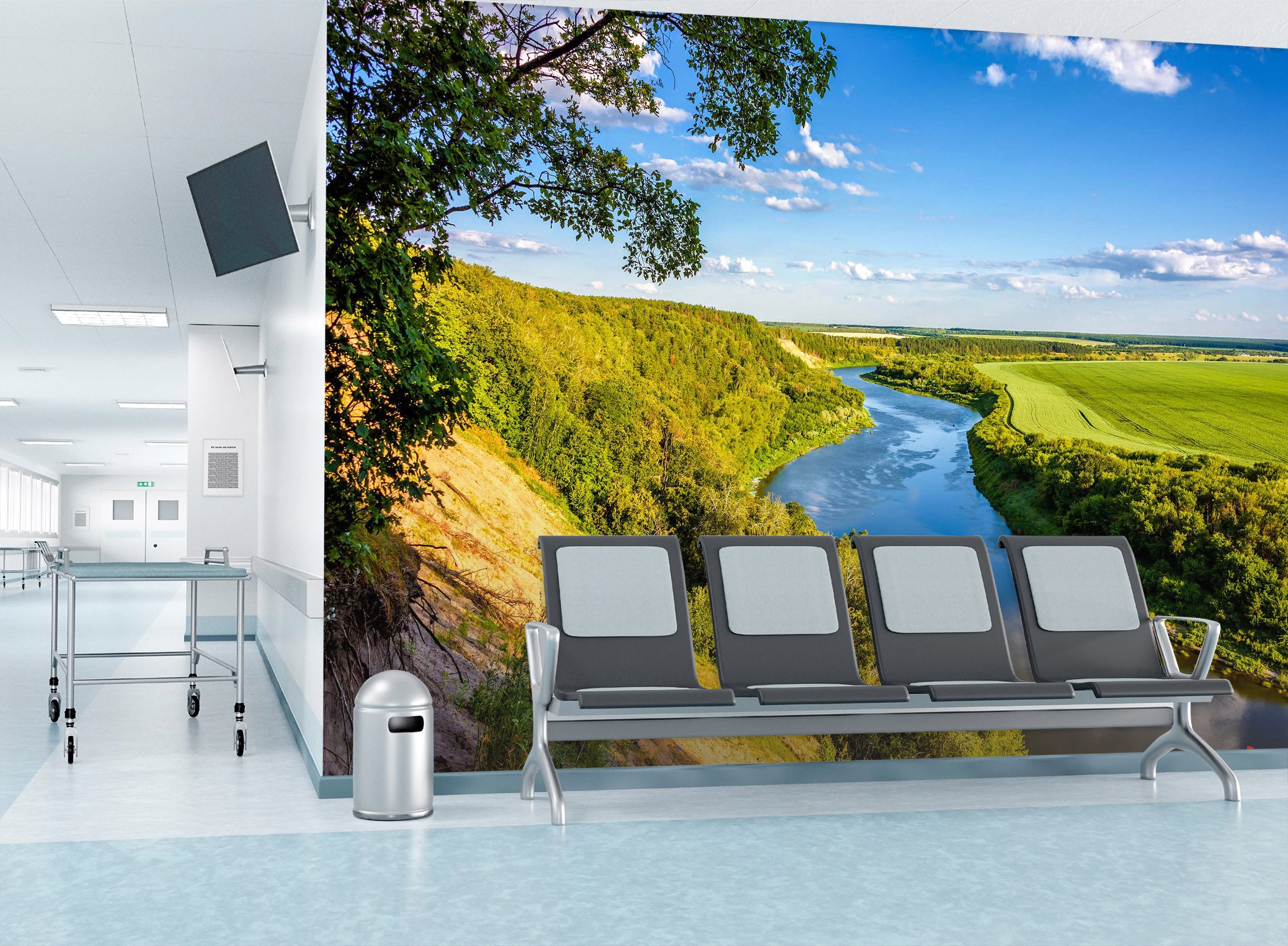 3D River Bank Landscape 326 Wall Murals