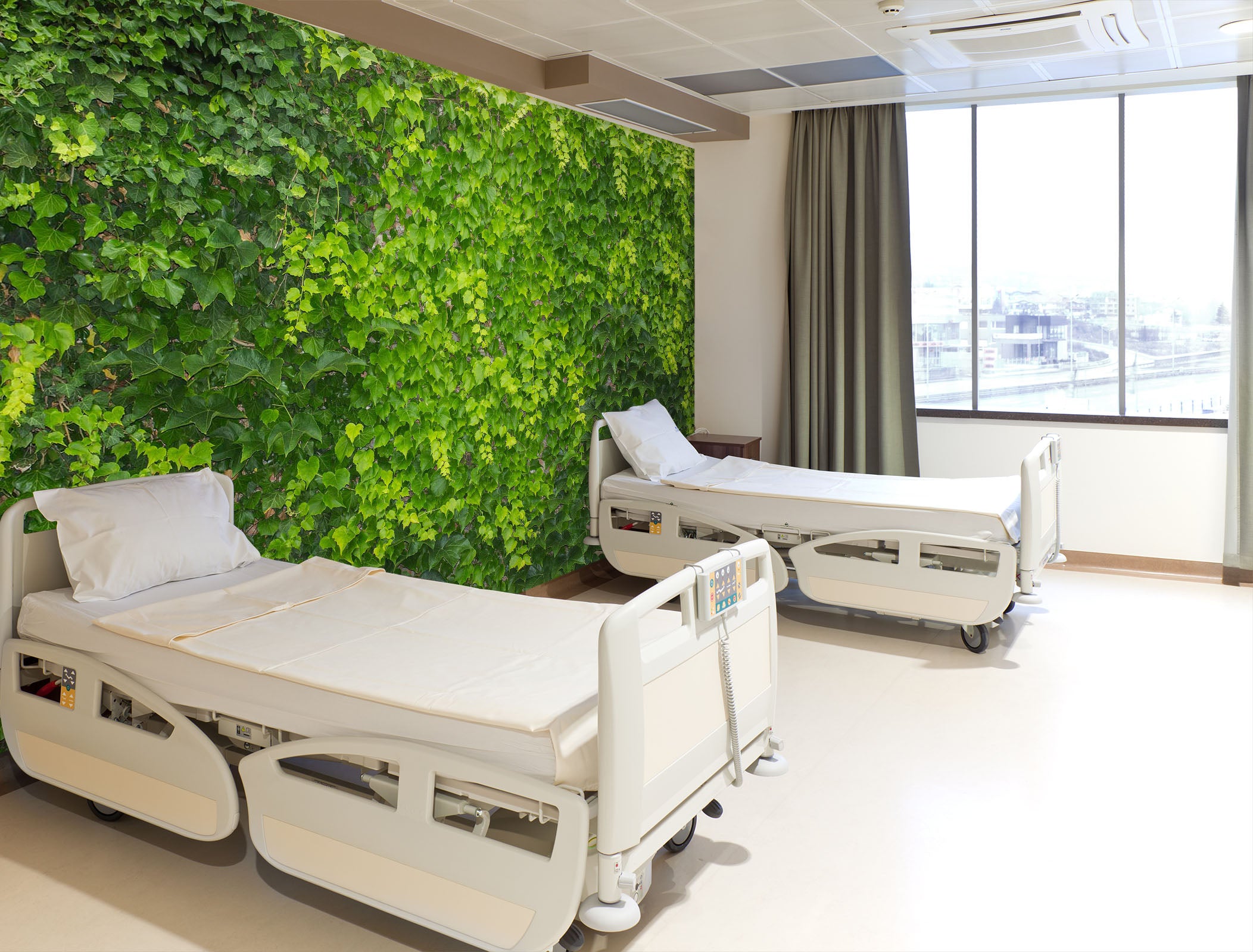 3D Wall Creeper 318 Wall Murals