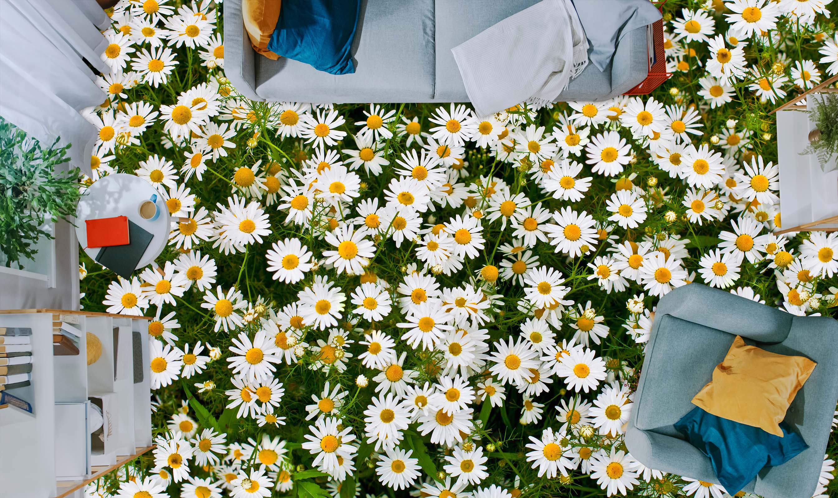 3D Lush Daisies 009 Floor Mural Wallpaper Murals Rug & Mat Print Epoxy waterproof bath floor