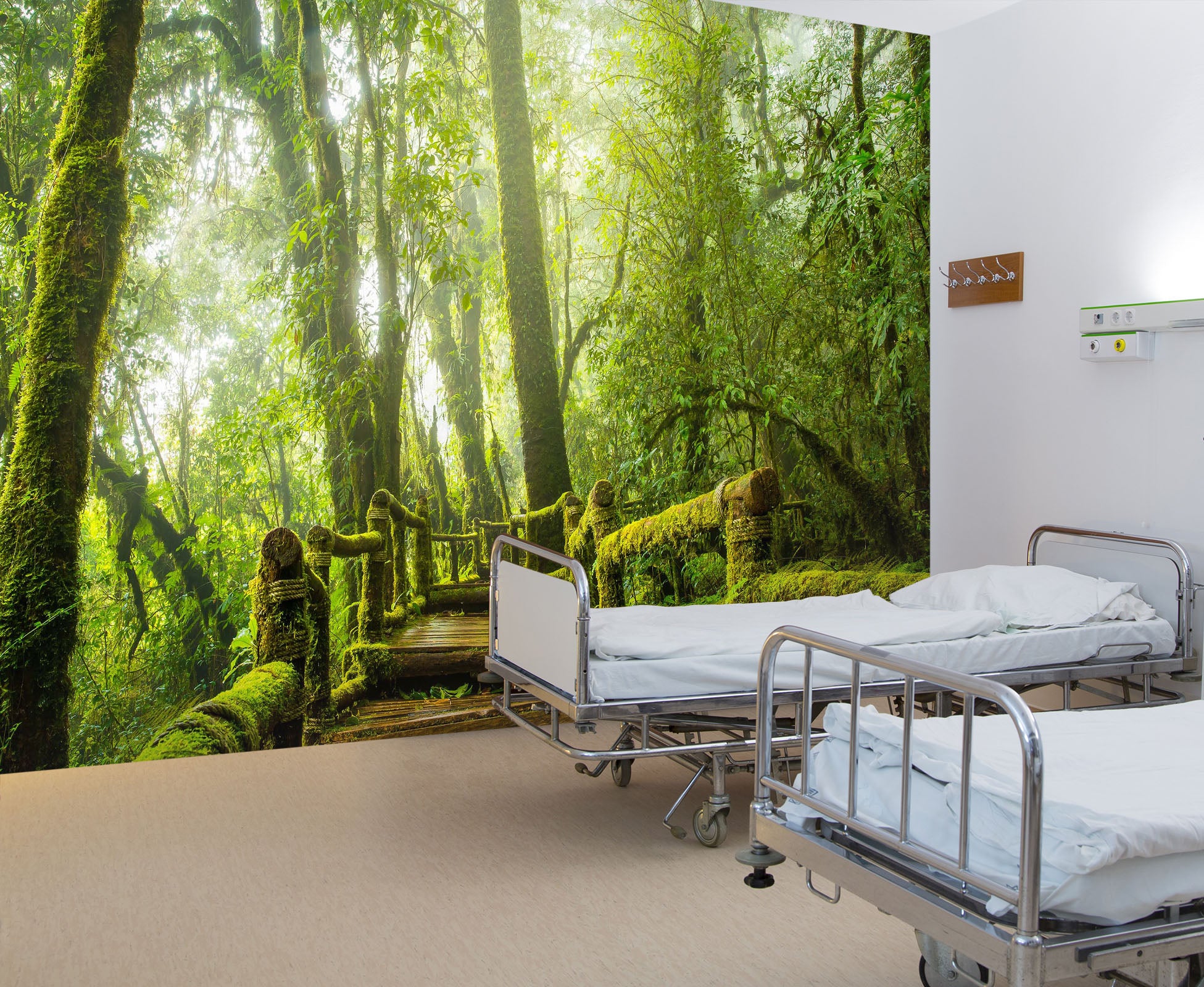 3D Tropical Rain Forest 338 Wall Murals
